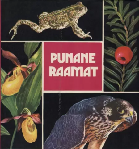 Punane raamat