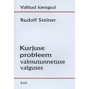 Kurjuse probleem vaimutunnetuse valguses