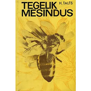 Tegelik mesindus