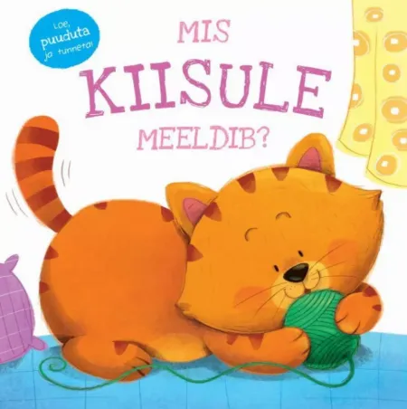 Mis kiisule meeldib?