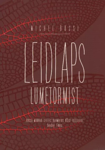 Leidlaps lumetormist