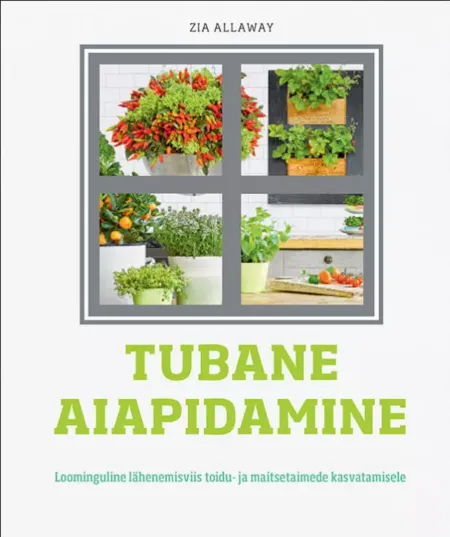 Tubane aiapidamine