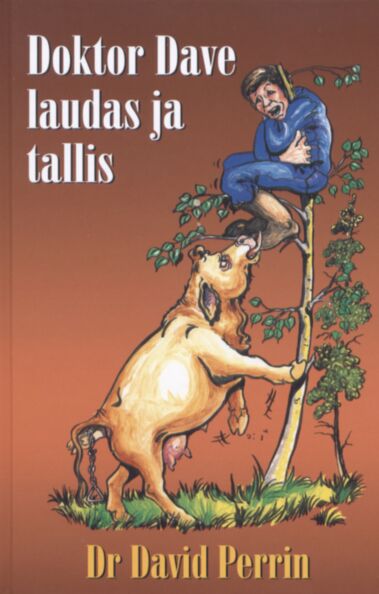 Doktor Dave laudas ja tallis
