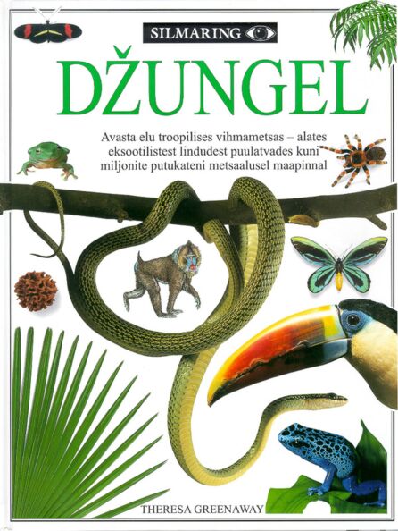Džungel