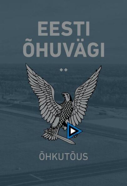 Eesti Õhuvägi
