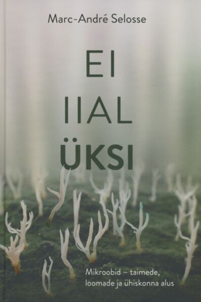 Ei iial üksi