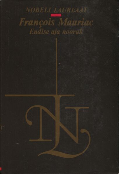 Endise aja nooruk