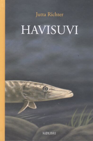 Havisuvi