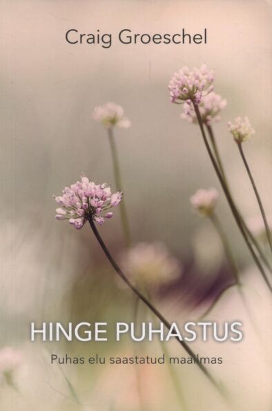 Hinge puhastus
