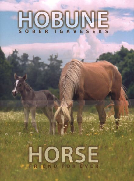 Hobune - sõber igaveseks