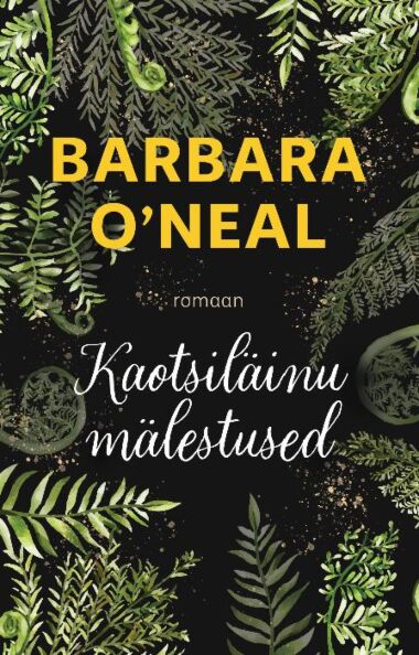 Kaotsiläinu mälestused
