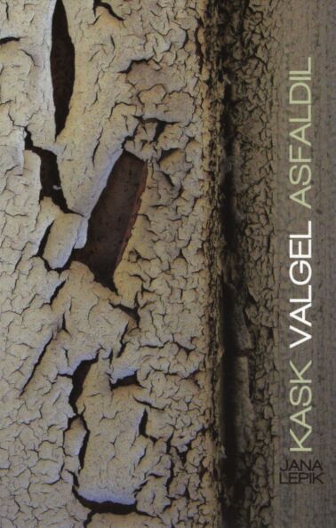 Kask valgel asfaldil