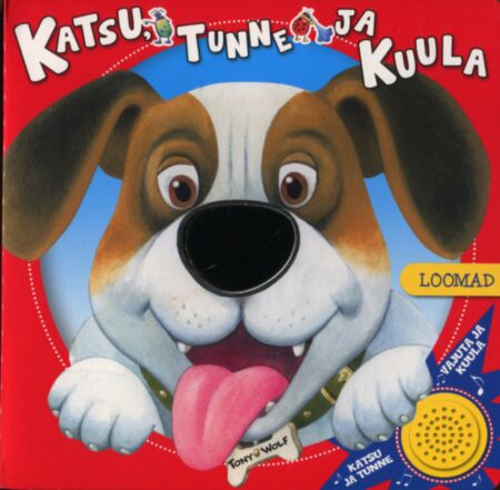 Katsu, tunne ja kuula
