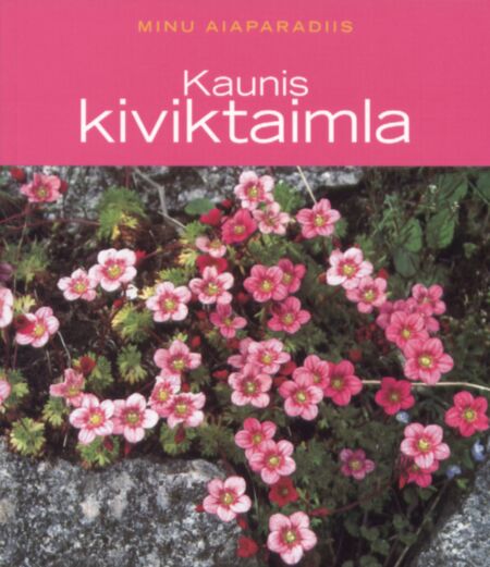 Kaunis kiviktaimla