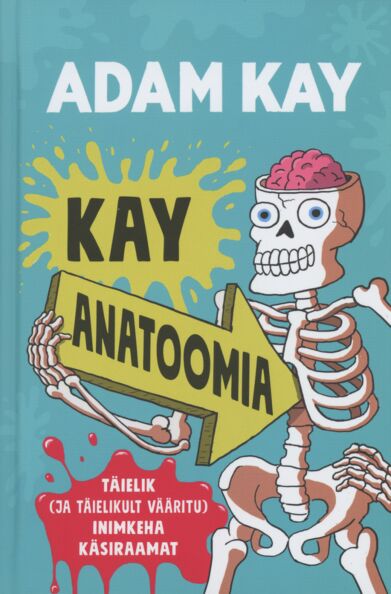 Kay anatoomia
