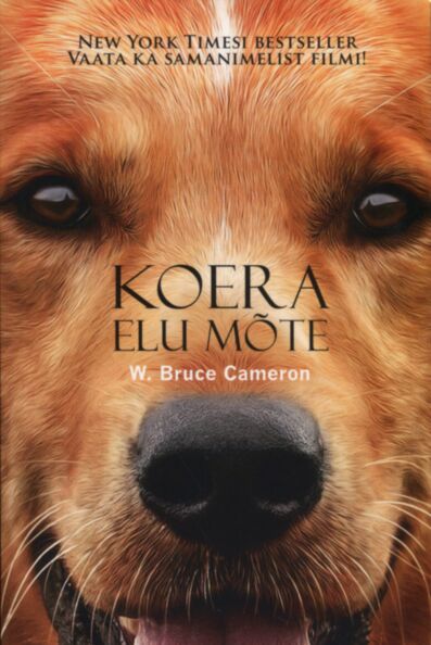 Koera elu mõte