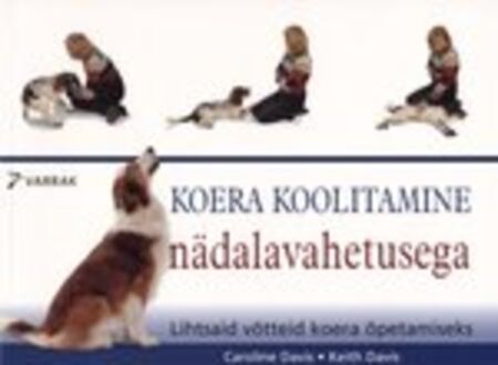 Koera koolitamine nädalavahetusega