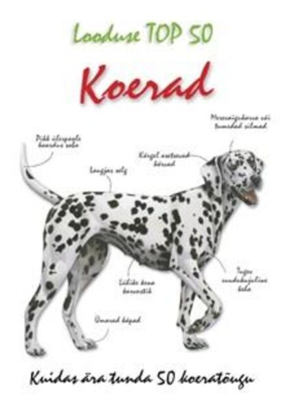 Koerad