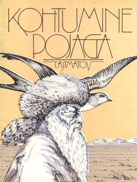 Kohtumine pojaga