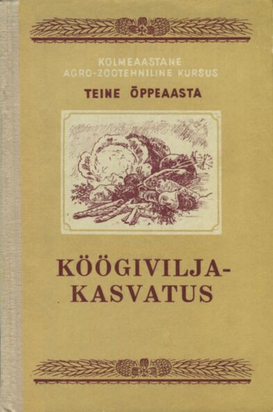 Köögiviljakasvatus