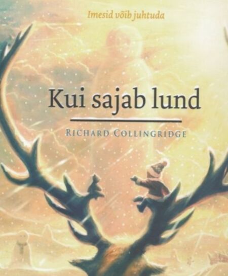 Kui sajab lund
