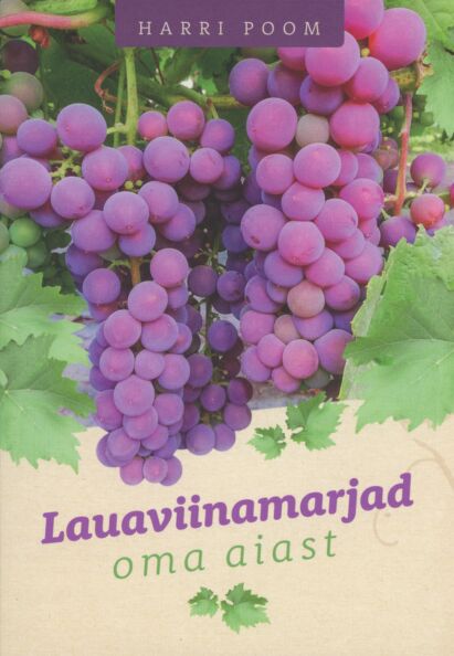 Lauaviinamarjad oma aiast