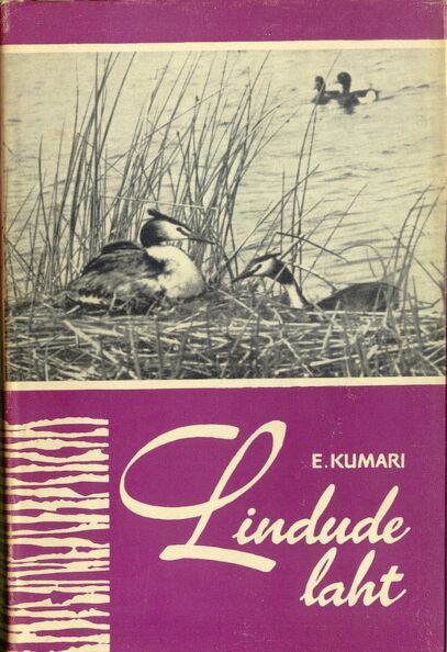 Lindude laht
