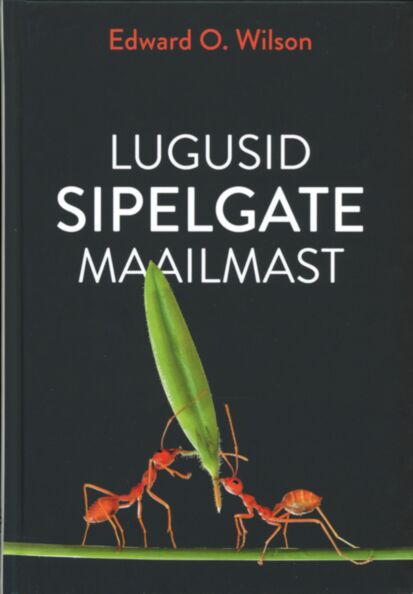 Lugusid sipelgate maailmast