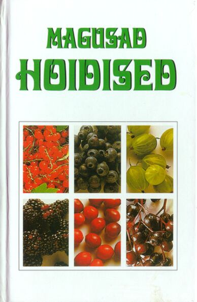 Magusad hoidised