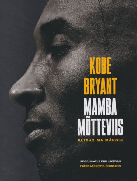 Mamba mõtteviis