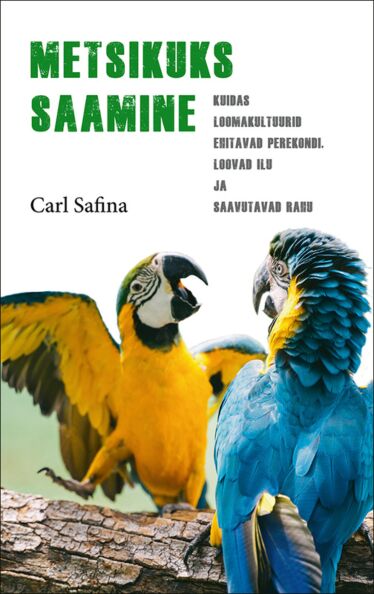 Metsikuks saamine