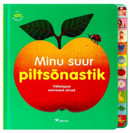 Minu suur piltsõnastik