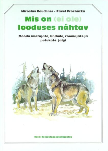 Mis on (ei ole) looduses nähtav