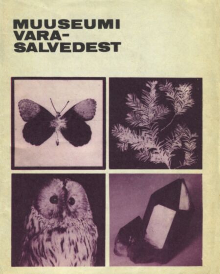 Muuseumi varasalvedest