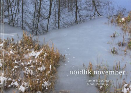 Nõidlik november