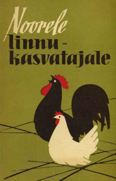 Noorele linnukasvatajale