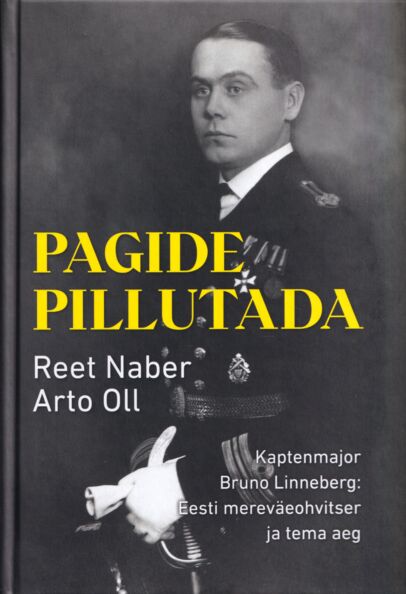Pagide pillutada