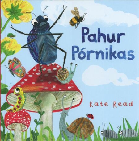 Pahur põrnikas
