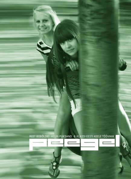 Peegel 2