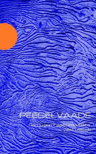 Peegelvaade