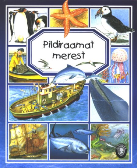 Pildiraamat merest
