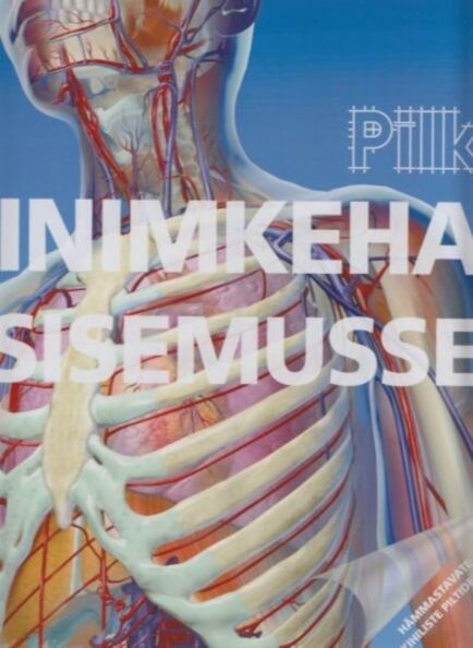 Pilk inimkeha sisemusse