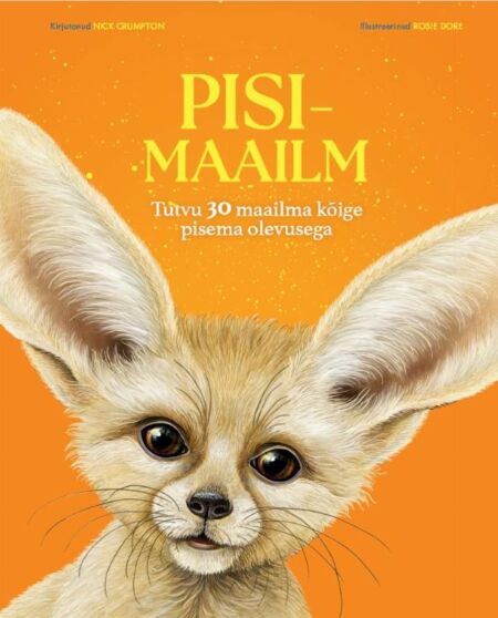 Pisimaailm