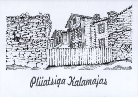 Pliiatsiga Kalamajas