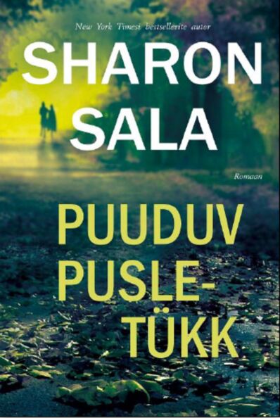 Puuduv pusletükk