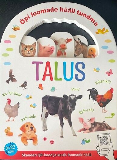 Talus