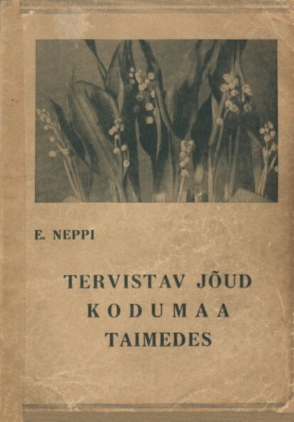 Tervistav jõud kodumaa taimedes