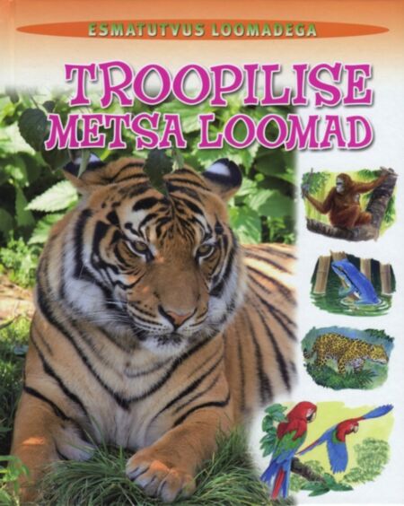 Troopilise metsa loomad
