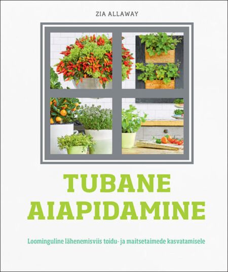 Tubane aiapidamine