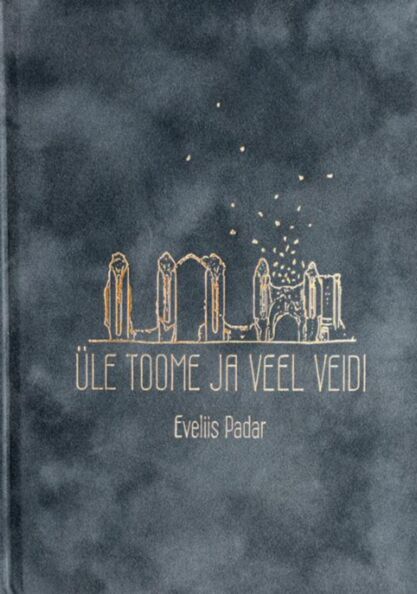 Üle Toome ja veel veidi